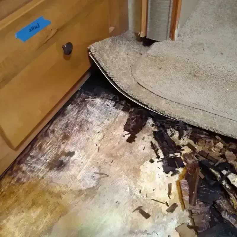 Best Wood Floor Water Damage Service in Lancaster, NY